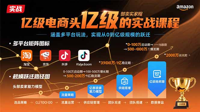 亿级电商头部卖家的实战课程：涵盖多平台玩法，实现从0到亿级规模的跃迁-禾谷轻创网