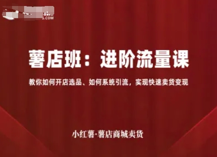 小红薯薯店商城卖货，进阶流量课，教你如何开店选品、如何系统引流，实现快速卖货变现-禾谷轻创网