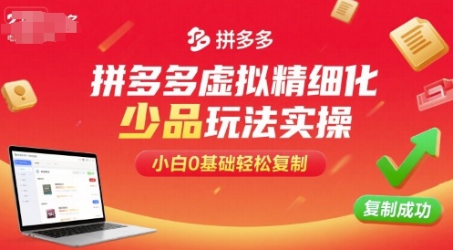 拼多多虚拟精细化少品玩法实操，小白0基础轻松复制-禾谷轻创网