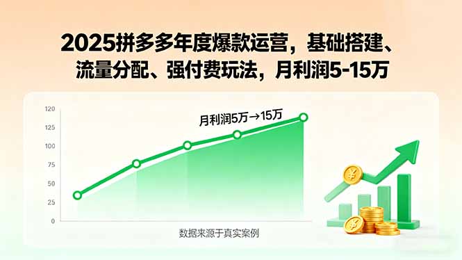 2025拼多多年度爆款运营，基础搭建、流量分配、强付费玩法，月利润5-15万-禾谷轻创网