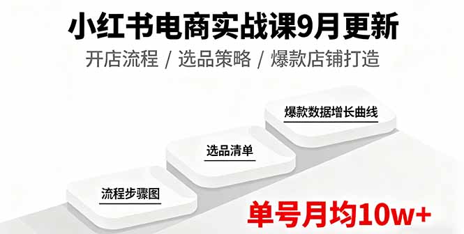 小红书电商实战课9月更新，开店流程/选品策略/爆款店铺打造，单号月均10w+-禾谷轻创网