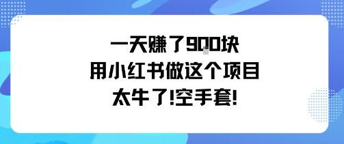 一天挣了9张用小红书做这个项目太牛了，空手套-禾谷轻创网
