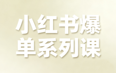 尼采老师·小红书爆单系列课-禾谷轻创网