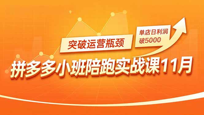 拼多多小班陪跑实战课11月，强付费矩阵、原价活动、暗券引流，突破运营瓶颈，单店日利润破5000-禾谷轻创网
