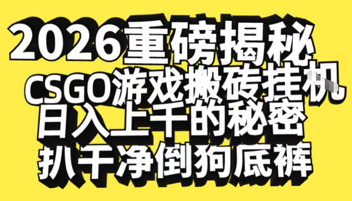 2026开年重磅解密，CSGO游戏搬砖挂G日入1k+的秘密，把倒狗的底裤扒干【揭秘】-禾谷轻创网