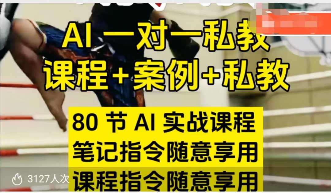 AI指令实战课，课程+案例，80节AI实战课程，笔记指令随意享用，课程指令随意享用(更新26年3月)-禾谷轻创网