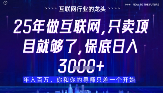 什么！25年你还在找项目做？风口早就变了，卖项目才是稳挣不赔【揭秘】-禾谷轻创网