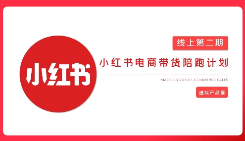 2025小红书虚拟电商实战课，从0到1打造无货源店铺，AI+爆款笔记轻松变现-禾谷轻创网