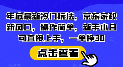 年底最新冷门玩法，京东家政新风口，操作简单，新手小白可直接上手，一单挣30【揭秘】-禾谷轻创网