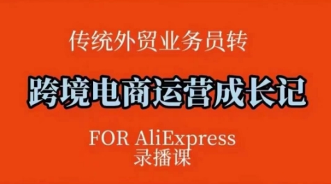 跨境电商速卖通运营课，​运营方法论+后台实操，逻辑清晰-禾谷轻创网