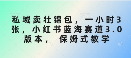 私域卖壮锦包，一小时3张，小红书蓝海赛道3.0版本， 保姆式教学-禾谷轻创网