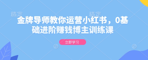 金牌导师教你运营小红书，0基础进阶赚钱博主训练课-禾谷轻创网