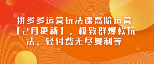 拼多多运营玩法课高阶运营【2月更新】，极致群爆款玩法，轻付费无尽复制等-禾谷轻创网