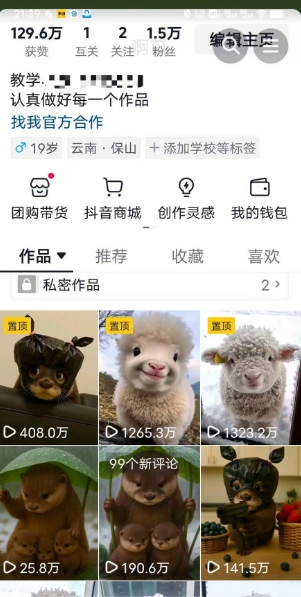 抖音65W博主AI萌宠课程，新赛道流量大，原创+二创，全套课程+提示词-禾谷轻创网