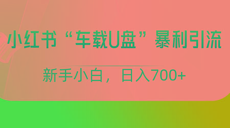 小红书“车载U盘”项目，暴利引流，新手小白轻松日入700+-禾谷轻创网