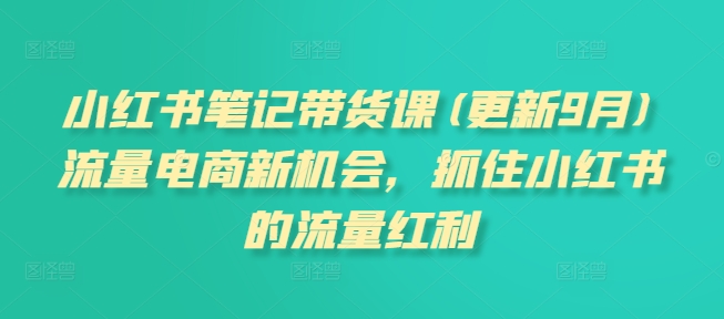 小红书笔记带货课(更新25年6月)流量电商新机会，抓住小红书的流量红利-禾谷轻创网
