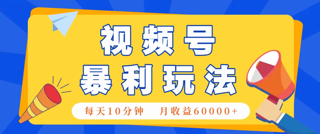 视频号AI赚钱法，每天只需10分钟，月入6万+！(超详细拆解)-禾谷轻创网