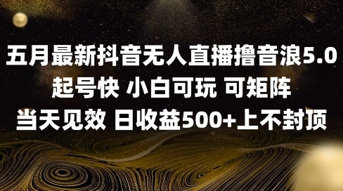 2025五月最新无人直播撸音浪单日产出5张+实操教程【揭秘】-禾谷轻创网
