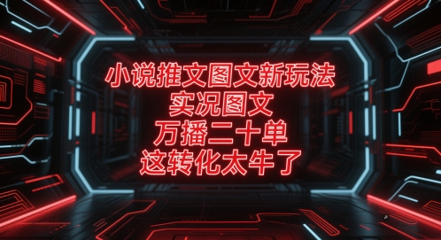 小说推文图文新玩法，实况图文，万播二十单，这转化太牛了！-禾谷轻创网
