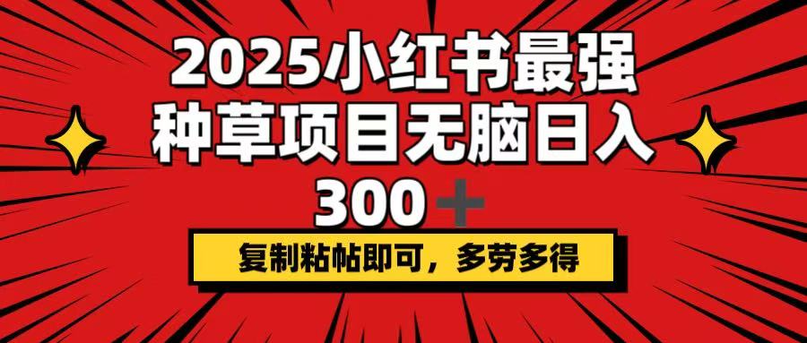 2025小红书最强种草项目，无脑日入300+，复制粘帖即可，多劳多得-禾谷轻创网