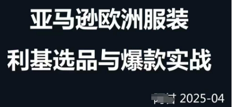 跨境电商选品案例24-25年，聚焦跨境电商选品策略与运营优化，助力卖家挖掘蓝海市场-禾谷轻创网