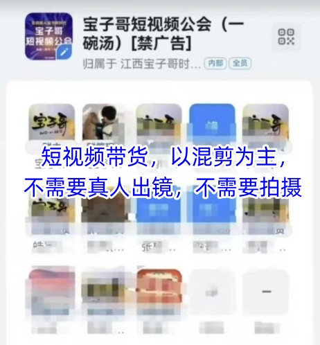 宝子哥头部团队短视频带货，以混剪为主，不需要真人出镜，不需要拍摄【更新】-禾谷轻创网