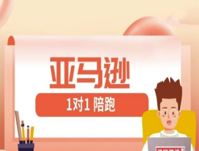 亚马逊1对1陪跑课(FBA/FBM精铺)跨境亚马逊教程-禾谷轻创网
