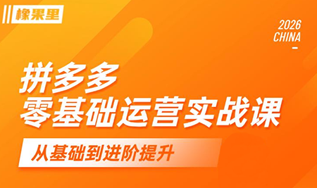 仙道电商·拼多多零基础运营实战课-禾谷轻创网