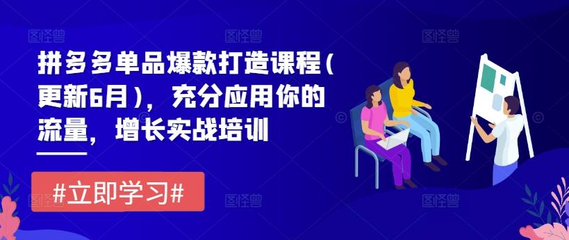 拼多多单品爆款打造课程(更新6月)，充分应用你的流量，增长实战培训-禾谷轻创网