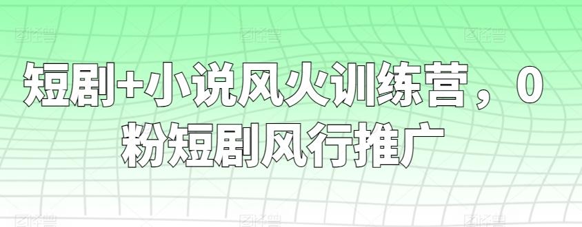 短剧+小说风火训练营，0粉短剧风行推广-禾谷轻创网