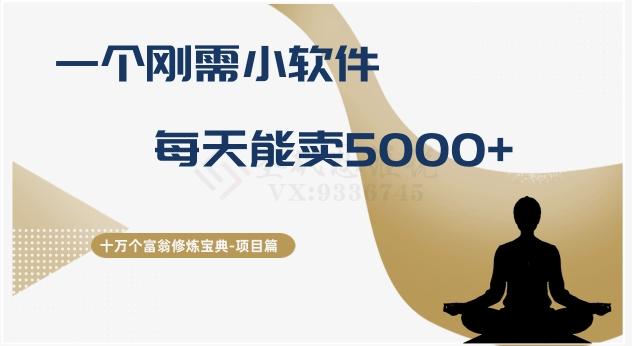 十万个富翁修炼宝典之17.一个刚需小软件，每天能卖5000+-禾谷轻创网