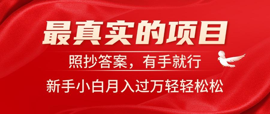 最真实的项目，照抄答案，有手就行，新手小白月入过万轻轻松松-禾谷轻创网