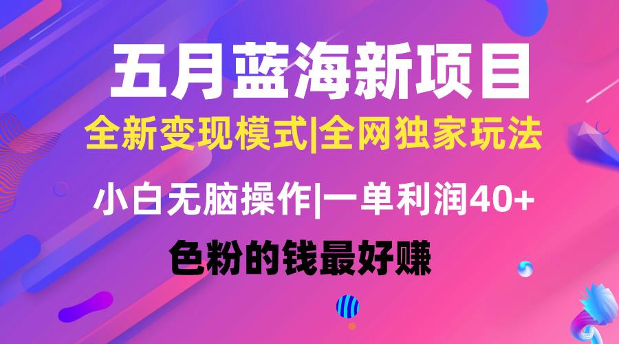 五月蓝海项目全新玩法，小白无脑操作，一天几分钟，矩阵操作，月入4万+-禾谷轻创网