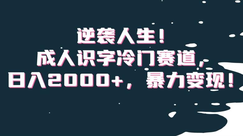逆袭人生！成人识字冷门赛道，日入2000+，暴力变现！【揭秘】-禾谷轻创网