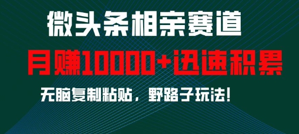 微头条相亲赛道，迅速积累，无脑复制粘贴，野路子玩法，月入1w-禾谷轻创网