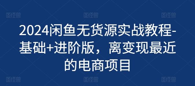 2024闲鱼无货源实战教程-基础+进阶版，离变现最近的电商项目-禾谷轻创网