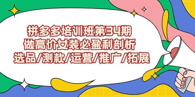 (9333期)拼多多培训班第34期：做高价女装必盈利剖析  选品/测款/运营/推广/拓展-禾谷轻创网