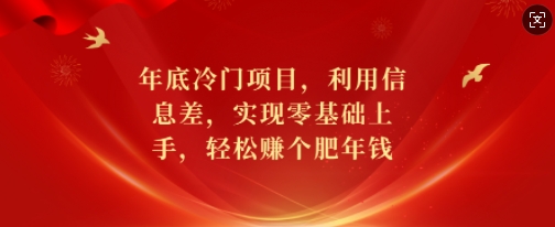 年底冷门项目，利用信息差，实现零基础上手，轻松赚个肥年钱【揭秘】-禾谷轻创网