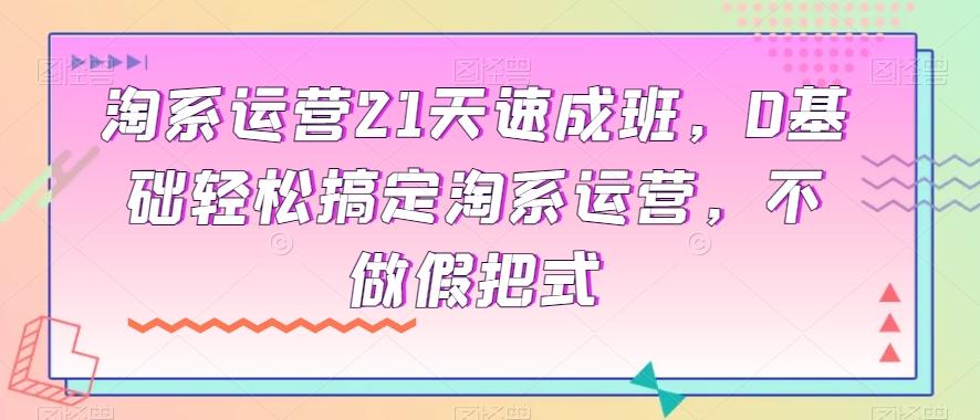 淘系运营21天速成班，0基础轻松搞定淘系运营，不做假把式-禾谷轻创网