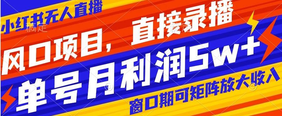 风口项目，小红书无人直播带货，直接录播，可矩阵，月入5w+【揭秘】-禾谷轻创网