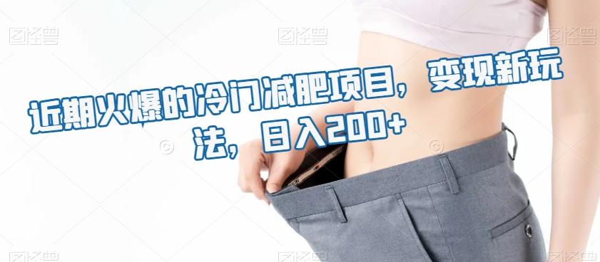 近期火爆的冷门减肥项目，变现新玩法，日入200+-禾谷轻创网