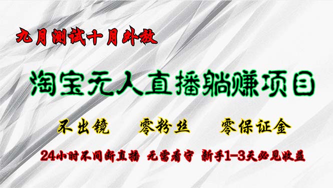 淘宝无人直播最新玩法，九月测试十月外放，不出镜零粉丝零保证金，24小…-禾谷轻创网