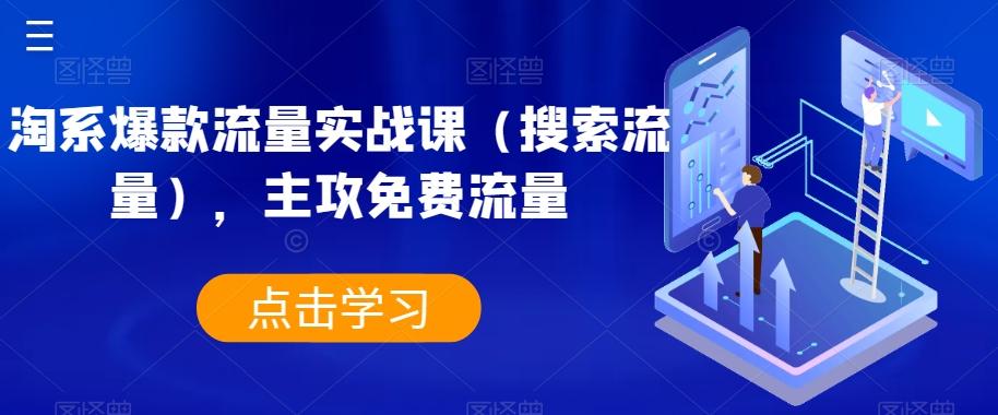 淘系爆款流量实战课（搜索流量），主攻免费流量-禾谷轻创网