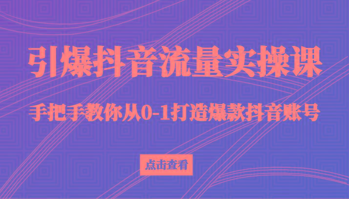 引爆抖音流量实操课，手把手教你从0-1打造爆款抖音账号(27节课)-禾谷轻创网