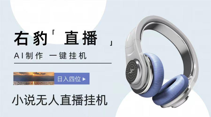 右豹小说无人直播挂机吸金项目，简单易行收益稳定， 月入1000+-禾谷轻创网