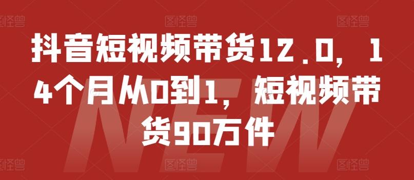 抖音短视频带货12.0，14个月从0到1，短视频带货90万件-禾谷轻创网
