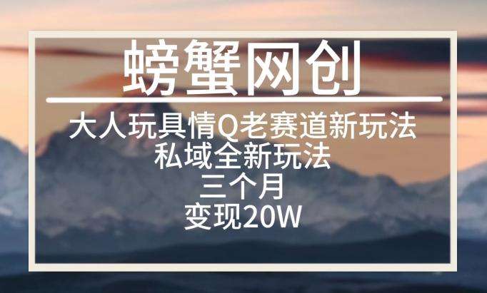 大人玩具情Q用品赛道私域全新玩法，三个月变现20W，老项目新思路【揭秘】-禾谷轻创网