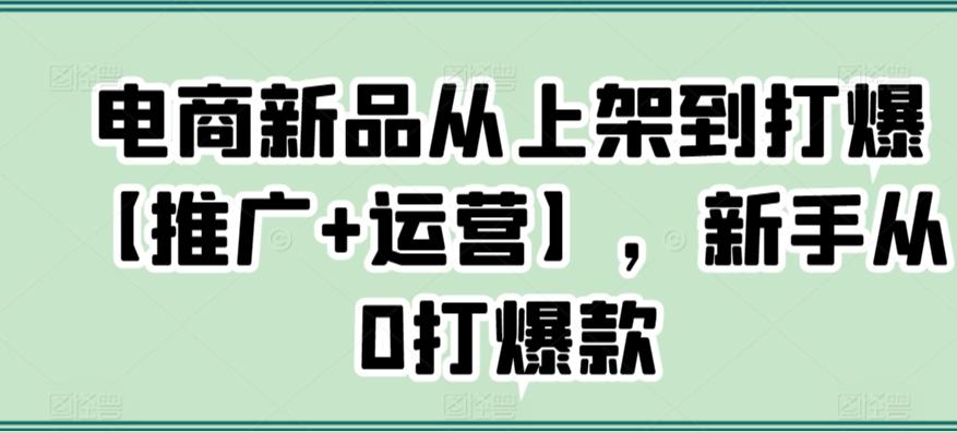 电商新品从上架到打爆【推广+运营】，新手从0打爆款-禾谷轻创网