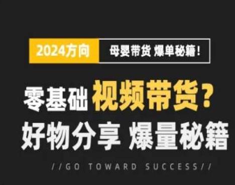 短视频母婴赛道实操流量训练营，零基础视频带货，好物分享，爆量秘籍-禾谷轻创网