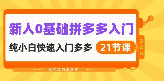 新人0基础拼多多入门，​纯小白快速入门多多(21节课-禾谷轻创网